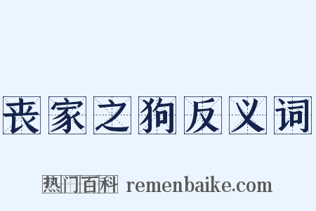 丧家之狗反义词是什么意思的图片